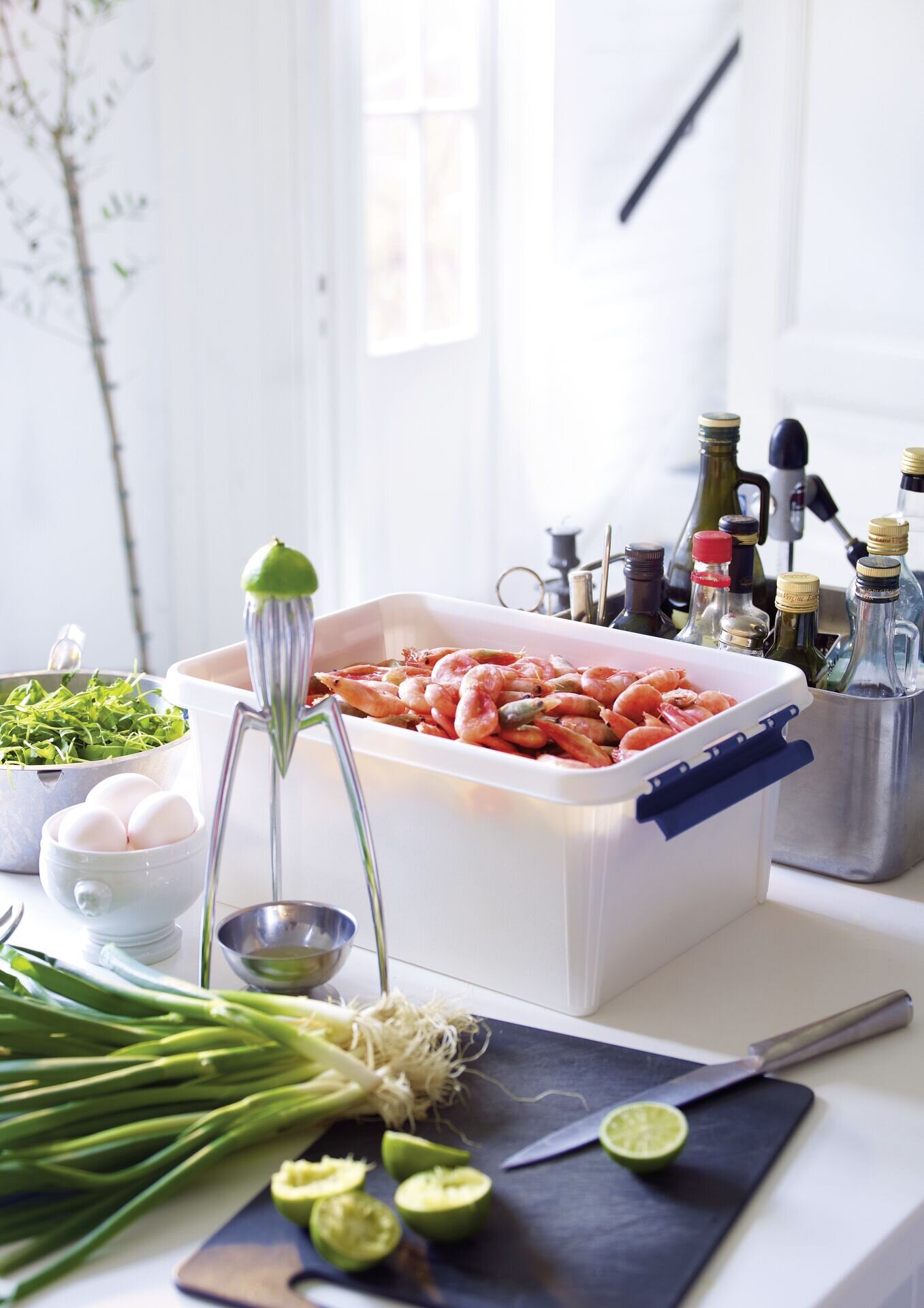 Box "Robust" 15 L, 40x30x19cm